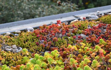 the cost of Eyton Upon The Weald Moors green roof installation