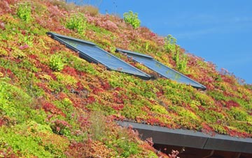Eyton Upon The Weald Moors living roof systems