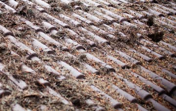 Eyton Upon The Weald Moors roof cleaning companies